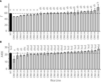 Mass screening of rice mutant populations at low CO2 for identification of lowered photorespiration and respiration rates